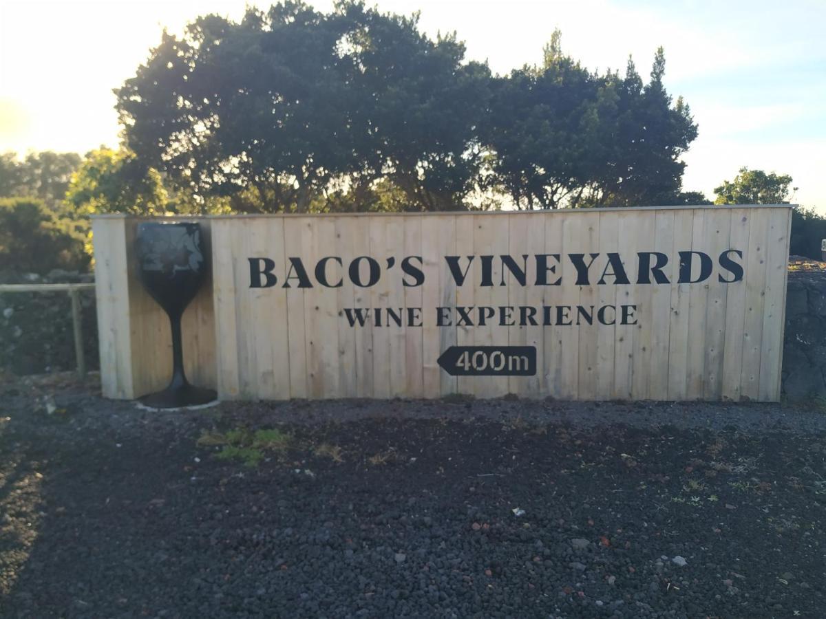 Baco'S Vineyard Villa Lajido Exteriör bild